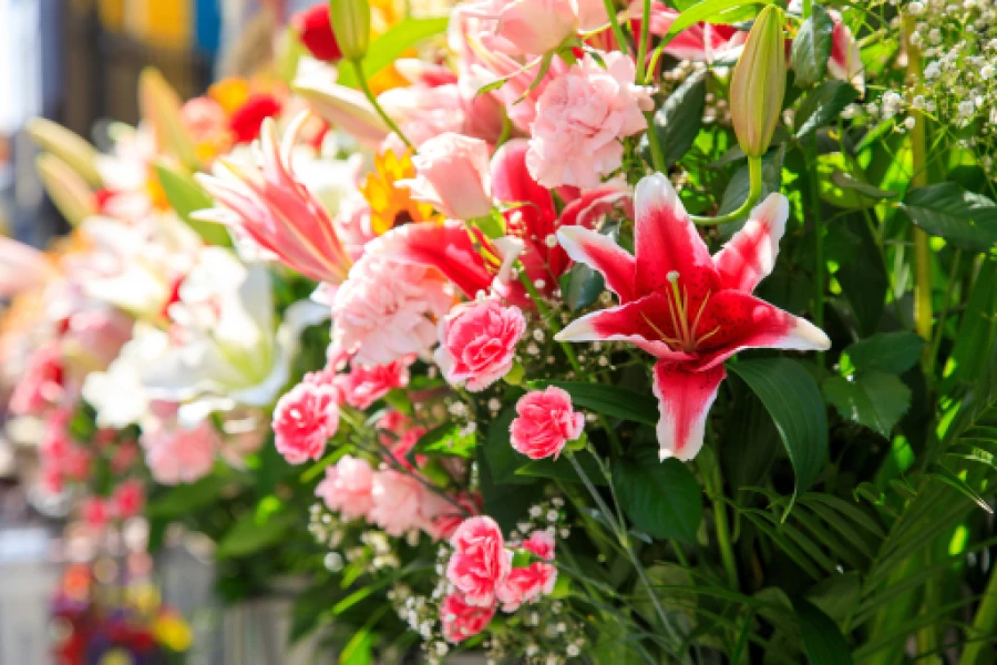 生花のイメージ画像