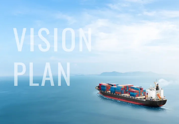 Long-term Vision/Medium-term Management Plan