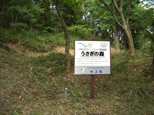 Planting and Producing "Forest for Rabbits" (Nagata-ku, Kobe-City)