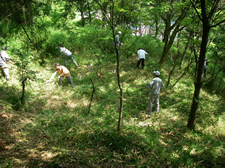 Planting and Producing "Forest for Rabbits" (Nagata-ku, Kobe-City)