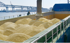 Bulk Cargo(Wheat and Other Grains, Fodder Ingredients, etc.)