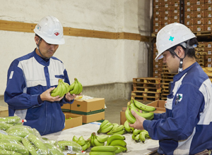 inspection for fruits